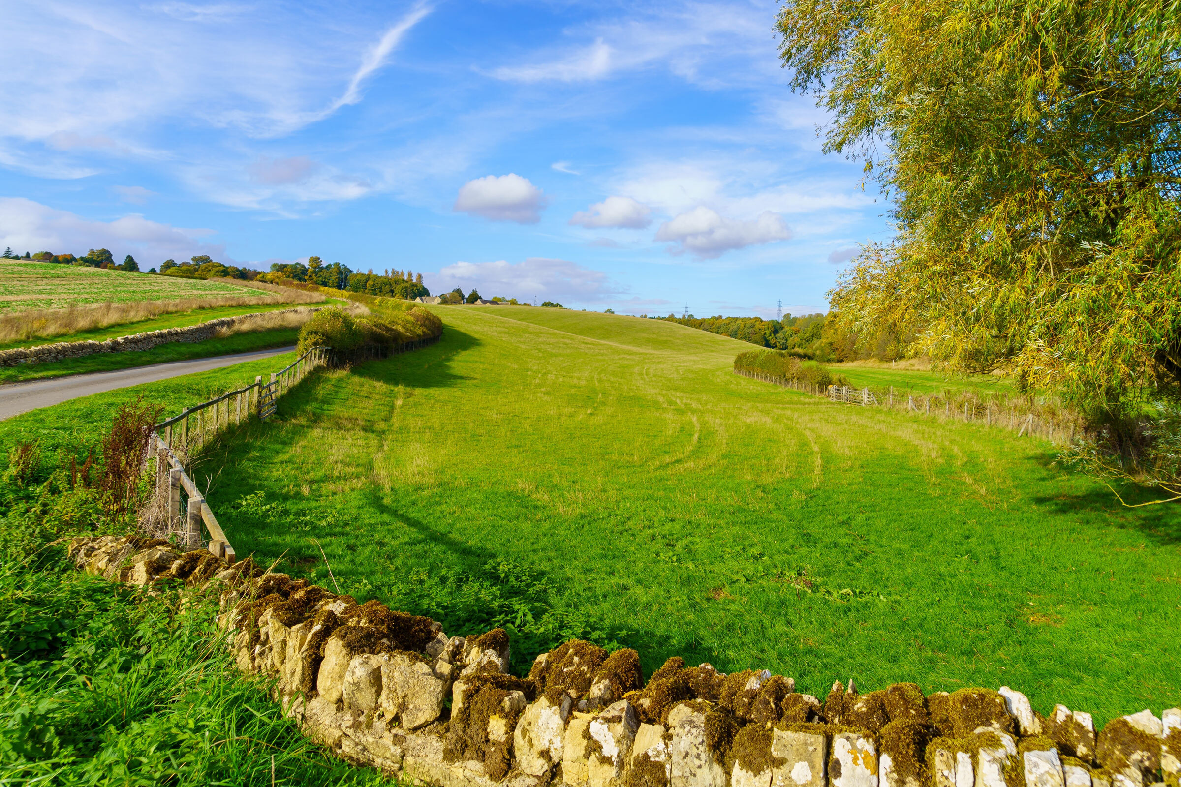 Langley Brook Fielded Background